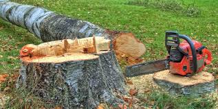 Best Utility Line Clearance  in Bloomer, WI