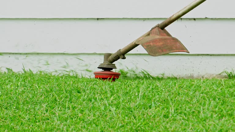 Best Weed Control  in Bloomer, WI