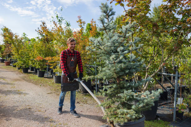 Best Arborist Consultation Services  in Bloomer, WI
