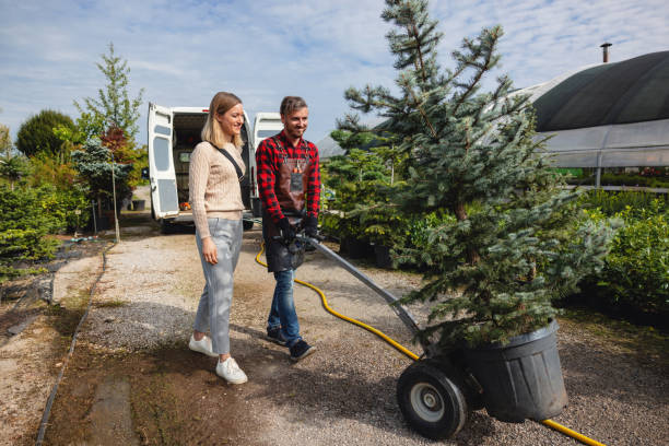 Best Sod Installation  in Bloomer, WI